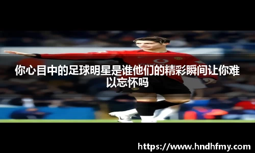 B体育bsports